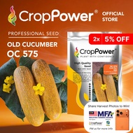 (1000 SEEDS) Biji Benih Timun Tua Gold bar 金霸 OC575 CROP POWER F1 HYBRID Old Cucumber Seeds 老黄瓜种子 OC