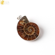 【New arrival】 Natural Stones Pendants Ammonite Fossils Seashell Snail Ocean Reliquiae Conch Animal N
