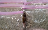 蛭石 火山石 泥炭土 仙人掌泥 骨粉 花生肥 詳情DM