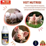 VGT Pig Fat Probiotic Nutrient Vitamins