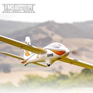FMS Glider 3,000mm FOX Big Wingspan Aircraft Model Remote Control Aircraft