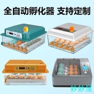 孵化器 110V 全自動 小雞孵化機 智能恒溫 孵蛋器 恒溫孵化箱 鴨鵝孵蛋機