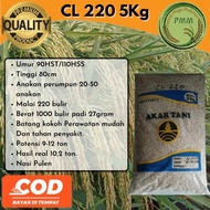 100%Ori Benih Padi Unggul Cl220 / Bibit Unggul 5Kg Cl 220 [Stok Ready]