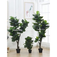 STOCK CLEARANCE  PREMIUM FAKE PLANT/ Fiddle Fig/Pokok Tiruan Terkini
