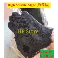 High Soluble Algae/Soluble Seaweed Extract/Organic Fertiliser/海藻精/果肥/Baja Organic/Baja Buah/Baja Durian