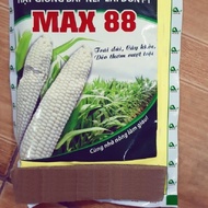 HẠT GIỐNG BẮP NẾP LAI ĐƠN MAX88 GÓI 300G-NĂNG SUẤT CAODỄ TRỒNG