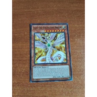 Yugioh : INFO-JP010 INFO-AE010 Light End Sublimation Dragon (R)