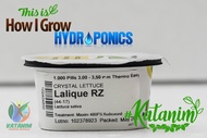 Lalique RZ (1000 seeds | 1 tub) by Rijk Zwaan | Hydroponics Lettuce Seeds - Katanim