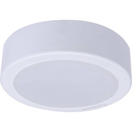 PHILIPS MESON 59472 17W SURFACE DOWNLIGHT,/59472