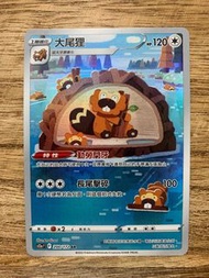 PTCG S12a 天地萬物VSTAR 200/172 大尾狸 AR