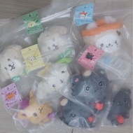 NCT STEADY WISH DOLL SION RIKU YUSHI JAEHEE RYO SAKIYA NCT Wish