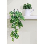 Daun Monstera Rambat Artificial / Monstera Palsu / Monstera Mini /