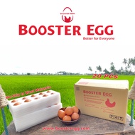 Booster Egg -20pcs I Organic Selenium-Enriched I Pomegranate & Beetroot I 100% Vegetarian Fed I Fres