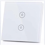 Smart WiFi Switch, 2 Gang 1 Way, Voice Control with Amazon Alexa & Google Home, Remote Control via A