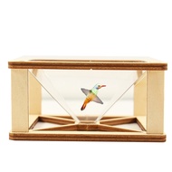 3D Hologram Projector Model Steam Toy 3D Illusion Box