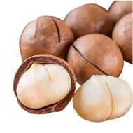Macadamia Nuts Original Flavor Macadamia Nuts Bag 500g East Nuts Australian Casual Bulk Zero 6.9