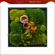 [MagiDeal] moss art frame kit 25x25cm