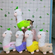 ALPACA 35CM SMOOTH TEDDY BEAR