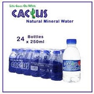 Cactus Mineral Water (24x250ml)