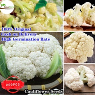 SG 100% Original Cauliflower Seeds 200cs Vegetable Seeds for Planting Home Kitchen Balcony Garden Se