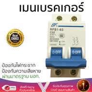 รุ่นขายดี เบรคเกอร์ งานไฟฟ้า BF เมนเบรคเกอร์ 2สาย 32 แอมป์ RFB1-63  ตัดไฟ ป้องกันไฟดูด ไฟรั่วอย่างมี
