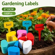 100Pcs Seedling Tray Label Waterproof Plant Identification Card