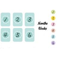 🔮 Tarot Reading - 6 Months / Weeks Spread ✨🔮 塔罗牌占卜｜六个月 / 六周牌阵✨