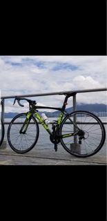 CIPOLLINI BOND迷彩軍綠 M SIZE