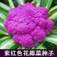 Purple Cauliflower Seeds Purple Cauliflower Seeds Cold-Resistant Spring Autumn Vegetable Garden Vege