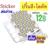 Die-Cut Sticker Product