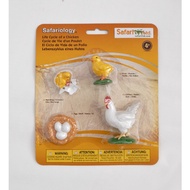 Safari Ltd - Life Cycle of Chicken