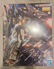 MG RGZ-95C ReZEL Type-C (Defenser a+b-Unit) (GR) 里歇爾C型 防衛者a+b裝備 雷比爾將軍配備機
