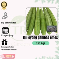 biji benih bibit oyong gambas lokal  oyong blustru & rumput  jepang kemasan repack