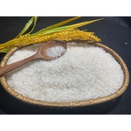 ST25 World's Best Rice 10kg ST25 Square Rice with Premium Organic Shrimp Soc Trang Specialty - Huynh