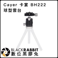 Digital Vinyl Rabbit [CAYER Cayenne BH222 Ball Head] Lightweight Photography Video Camera Monocular 