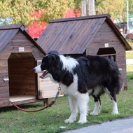 預訂6-7日 實木狗屋室外狗窩戶外防雨水寵物窩狗籠狗房子貓屋狗棚保暖大型犬