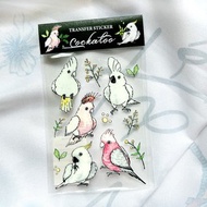 轉印貼紙 | 巴丹鸚鵡圖鑑水晶轉印貼紙