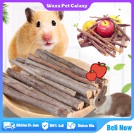 Gigitan Hamster Apple Stick 50g Full Apple Orchard Stick Gigitan Hamster | Apple Chew Toy | Grind Te