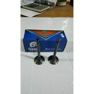 GX160-200 ENGINE VALVE/VALVE SET RD