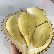 Duren Montong / Durian Monthong Palu Fresh Buah utuh 3kg-4.5kg terlaris