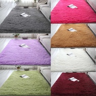 Home Living Room Bedroom Floor Carpet 160X120cm/160X80cm/120X80cm/50X80cm Silk Wool Carpet Rectangul