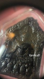 龍婆絕 坤平 2541  附samakompra卡