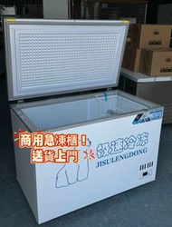 👑商用冰櫃  100%新 急凍櫃 凍肉櫃  商用臥式冰櫃 Chest freezer  現貨  香港保養 包送貨