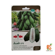 Biji Benih Thailand Betik Papaya Salad Somtam F1 Seeds