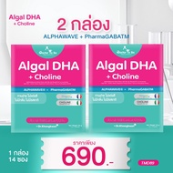 Box Algal DHA Choline Doctor Gift Brain Care High Iq Learning Dr.toby