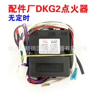 Water Heater Accessories dkg5 Strong Pulse Pulse Pulse DKG2 Pulse Controller DKG3 No Timing