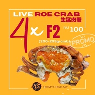 Live Roe Crab (Ketam Telur) F2 (200-290g) x 4crabs Promotion @ Klang Valley