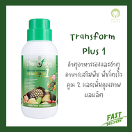 Transform Plus 1 Growing More ธาตุอาหารรองและธาตุอาหารเสริมพืช ขนาด 500 CC และ 1000 CC จาก Successmo