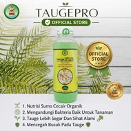 TaugePRO - Baja Tauge Cecair Organik Mengandungi Bacteria Baik Untuk Tanaman Tauge Lebih Segar Dan S