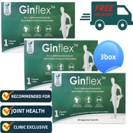 Ginflex Vegetarian Capsules 30S EXP:11/2027